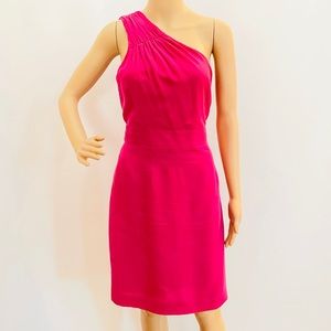 Banana Republic Fuchsia Dress